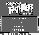 Raging Fighter (USA, Europe)