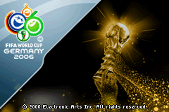 2006 FIFA World Cup (USA)