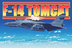 F-14 Tomcat (Europe)