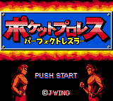 Pocket Pro Wrestling - Perfect Wrestler (Japan)