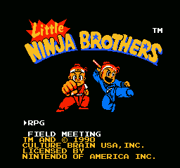 Little Ninja Brothers