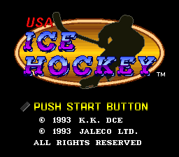 USA Ice Hockey (Japan) (En)